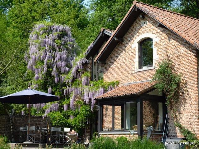 Cosy Lodge デイルベーク エクステリア 写真